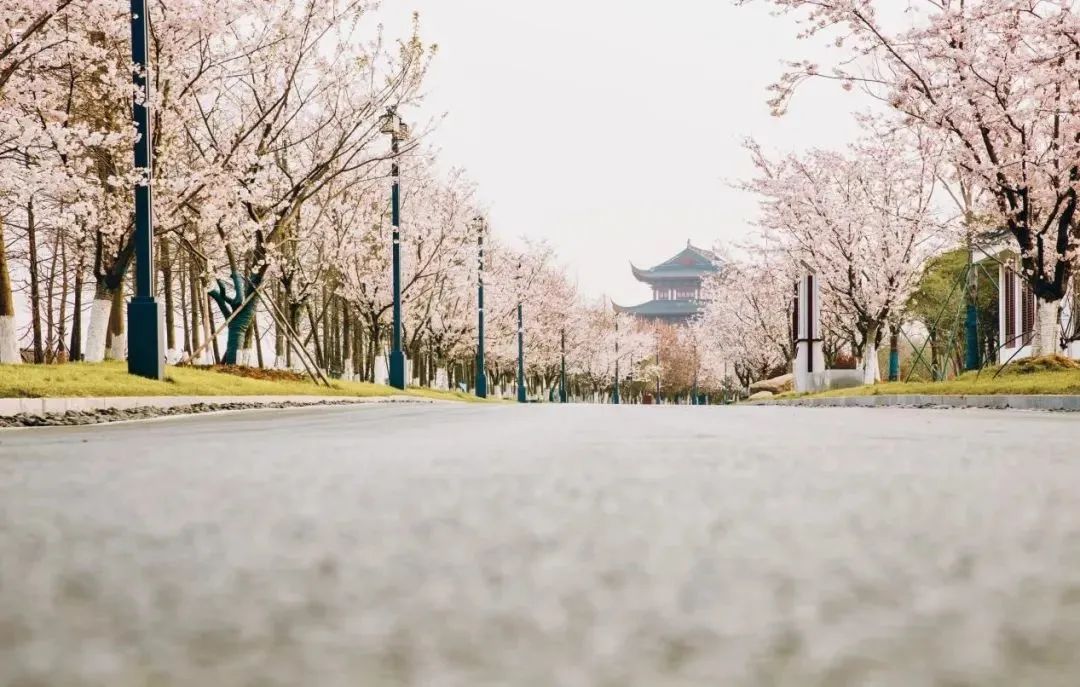 预定盐城酒店旅游多少钱_盐城酒店推荐_盐城旅游酒店预定