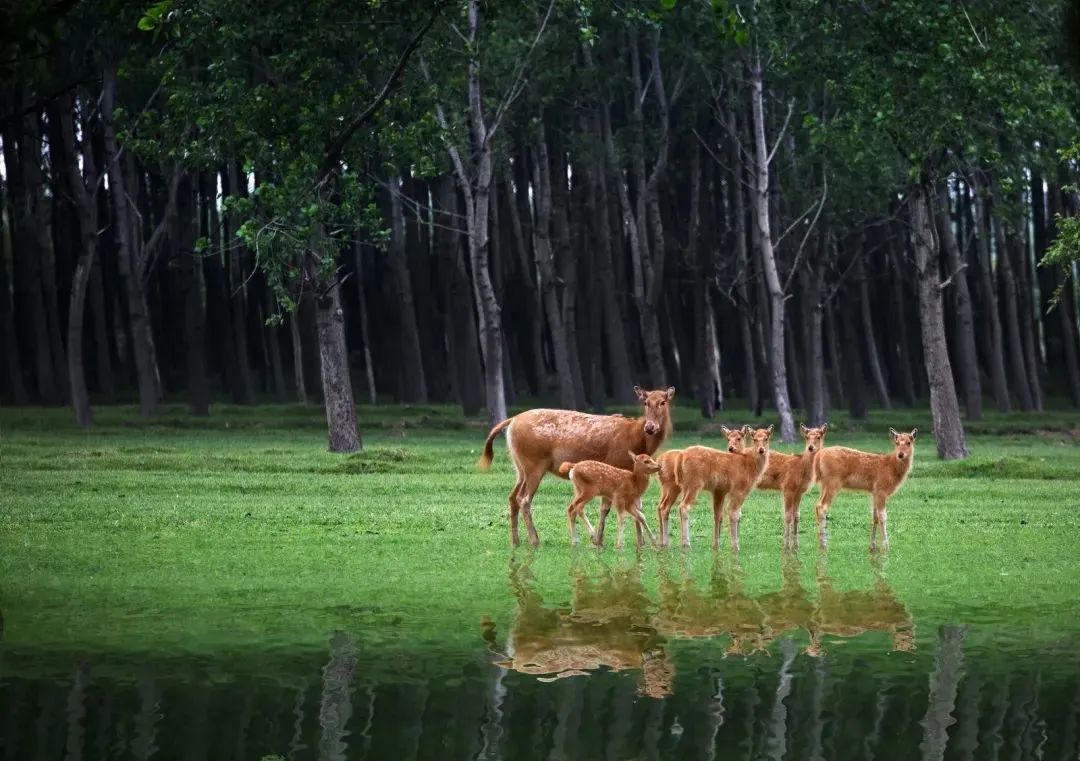 盐城酒店推荐_预定盐城酒店旅游多少钱_盐城旅游酒店预定