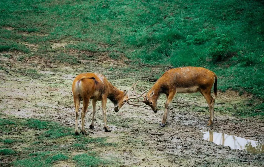 盐城酒店推荐_盐城旅游酒店预定_预定盐城酒店旅游多少钱