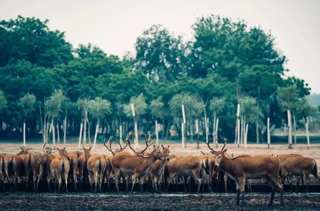 预定盐城酒店旅游多少钱_盐城旅游酒店预定_盐城酒店推荐
