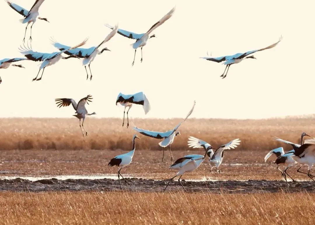 盐城酒店推荐_预定盐城酒店旅游多少钱_盐城旅游酒店预定