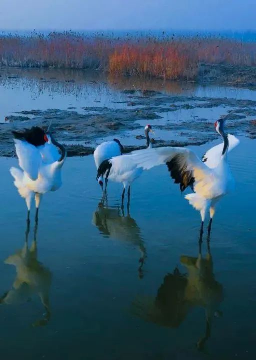 盐城旅游酒店预定_预定盐城酒店旅游多少钱_盐城酒店推荐