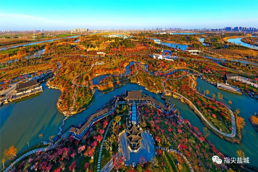 盐城美食团_盐城美食探店_盐城美食推荐