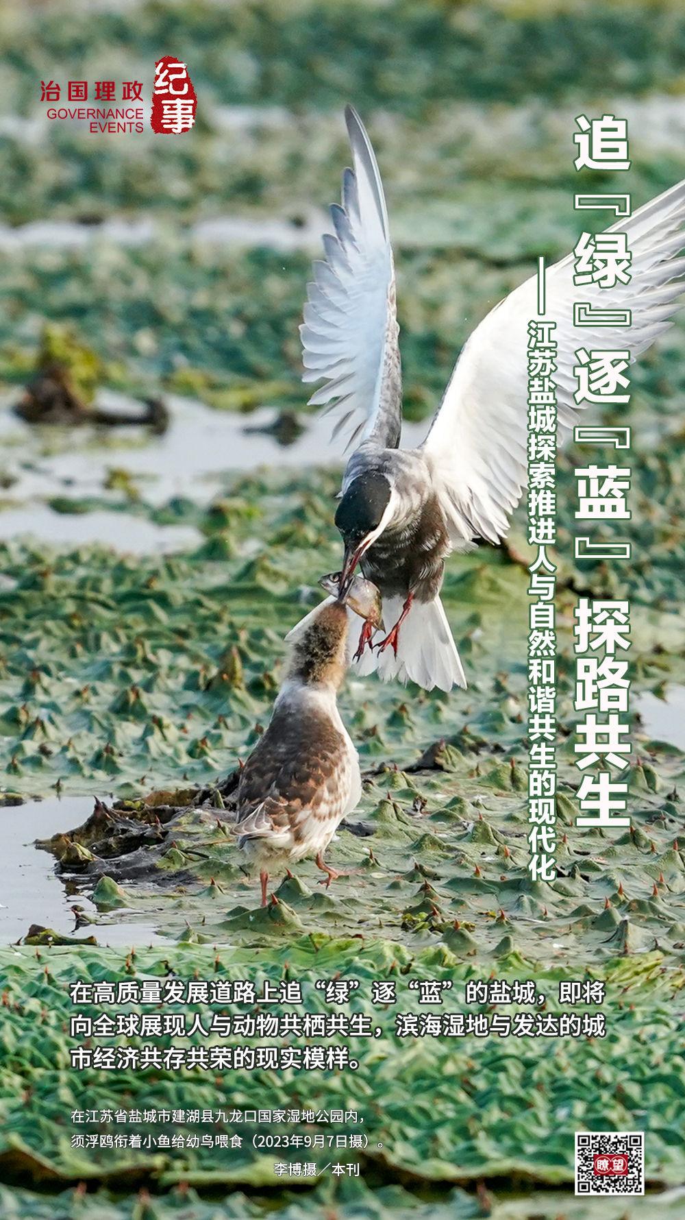 （共鉴）盐城“共生之道”的现实模样