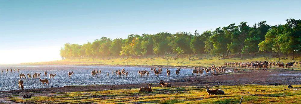 盐城旅游总体规划_盐城旅游业发展_盐城旅游城市