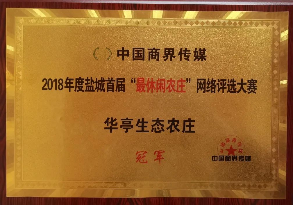 预定盐城酒店旅游的软件_预定盐城酒店旅游多少钱_盐城旅游酒店预定