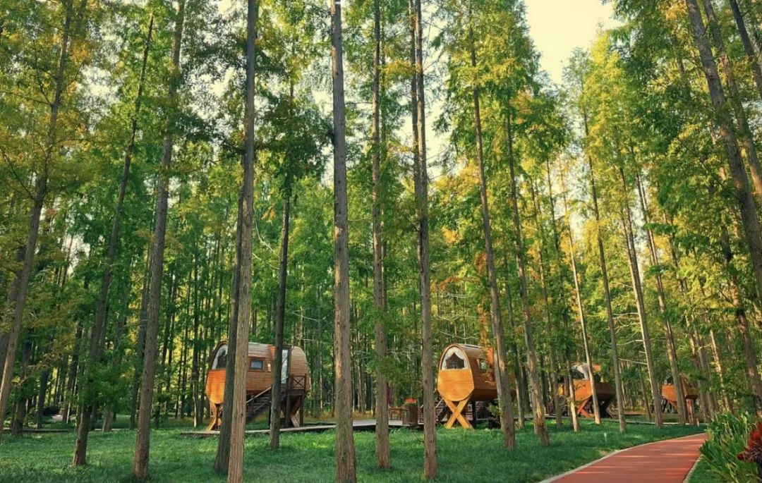 预定盐城酒店旅游多少钱_盐城旅游酒店预定_预定盐城酒店旅游的软件