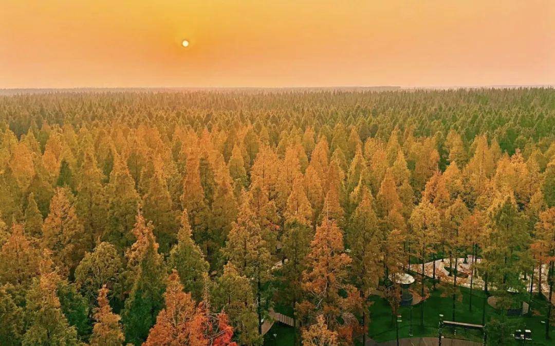 预定盐城酒店旅游的软件_盐城旅游酒店预定_预定盐城酒店旅游多少钱