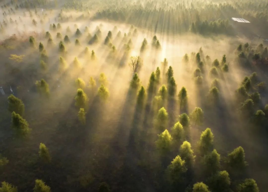 盐城旅游酒店预定_预定盐城酒店旅游多少钱_预定盐城酒店旅游的软件