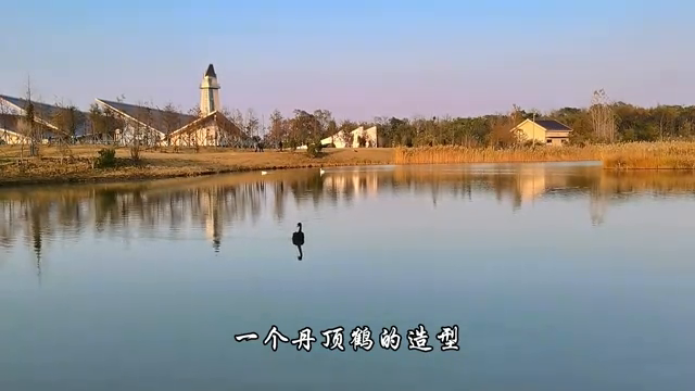 盐城湿地策划_江苏盐城湿地公园在哪里_盐城湿地旅游