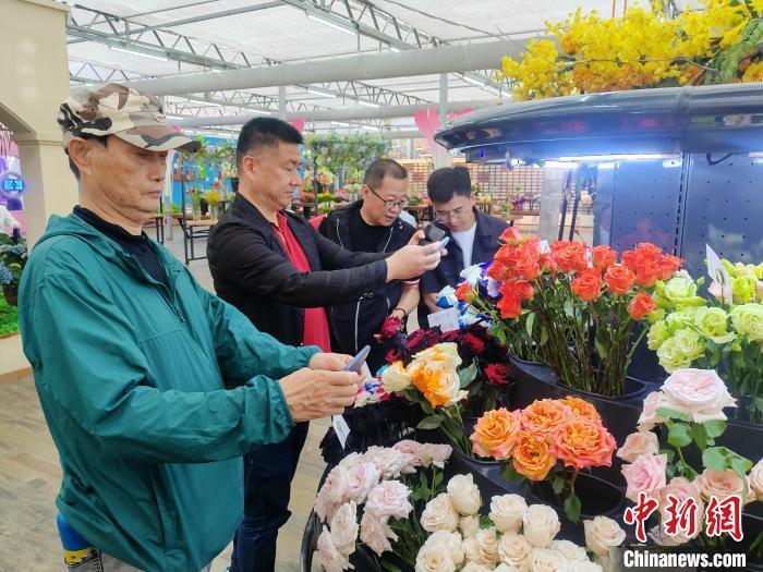 盐城湿地_盐城湿地旅游_江苏盐城湿地公园在哪里