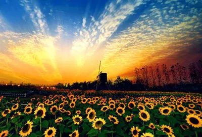 盐城风光旅游_盐城旅游_盐城旅行景点