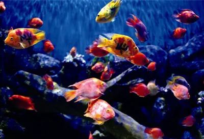 盐城旅行景点_盐城风光旅游_盐城旅游