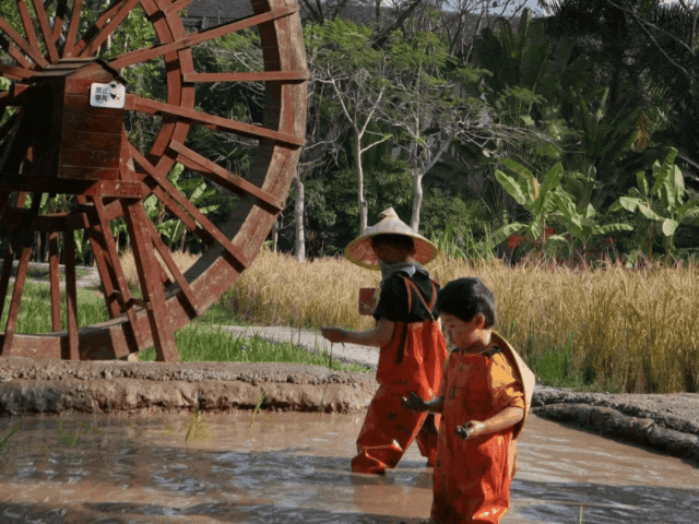 盐城风光旅游_盐城旅游风景区_盐城旅行景点