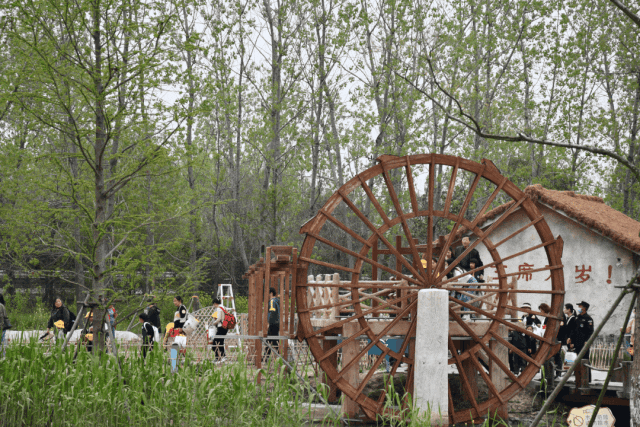盐城旅行景点_盐城风光旅游_盐城旅游风景区