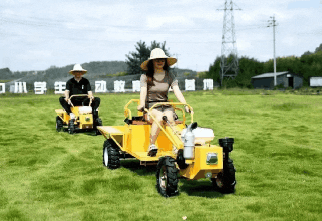 盐城旅游风景区_盐城旅行景点_盐城风光旅游