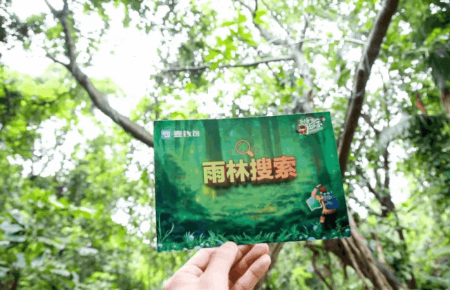 盐城旅游风景区_盐城旅行景点_盐城风光旅游