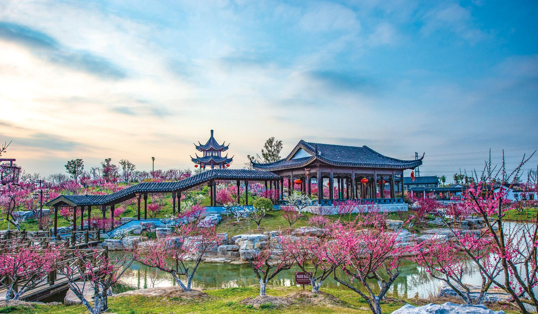 盐城大丰港有什么好吃的_港盐城美食大丰店电话_盐城大丰港美食