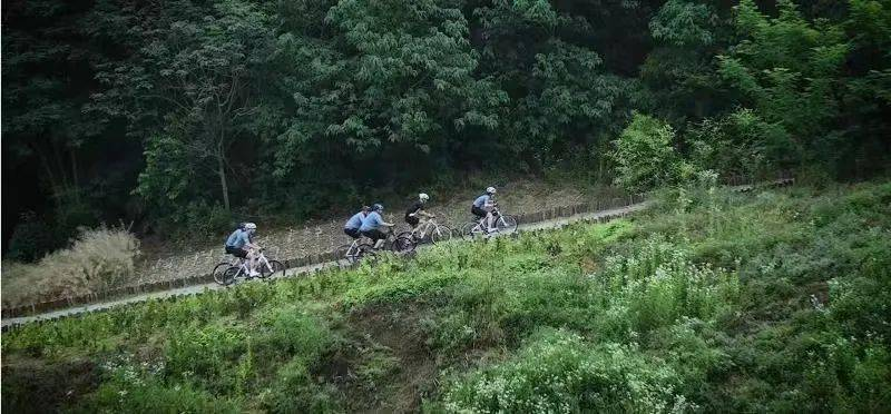 盐城美食推荐排行榜_盐城美食推荐理由_盐城美食推荐