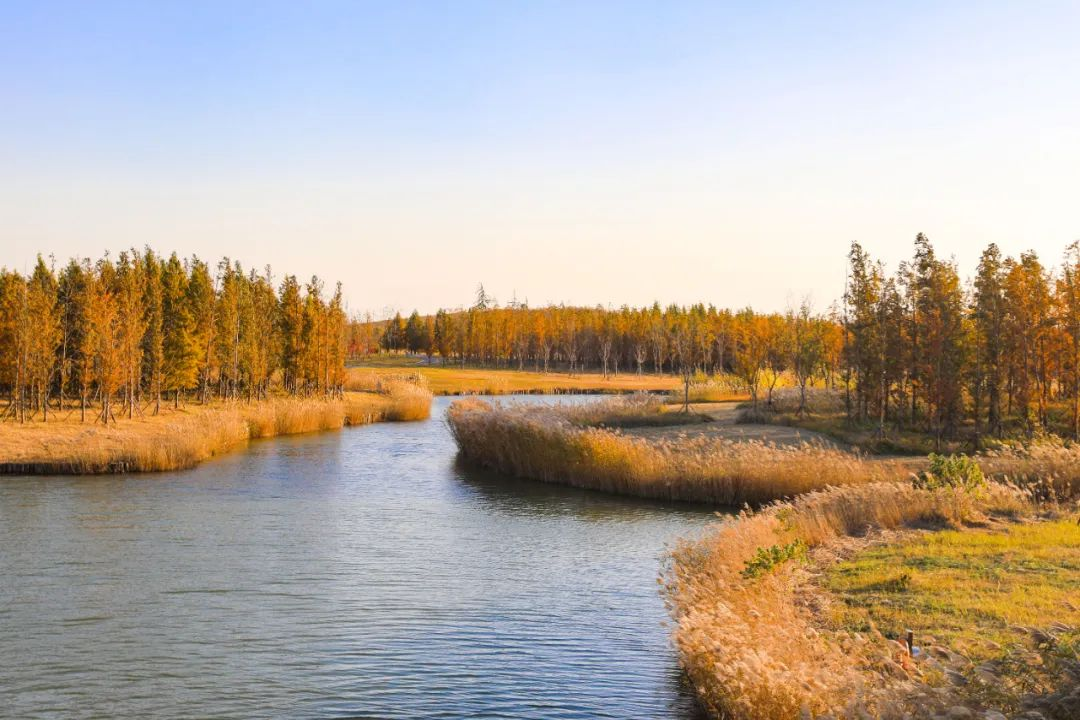 盐城美食推荐_盐城美食推荐排行榜_盐城美食推荐理由