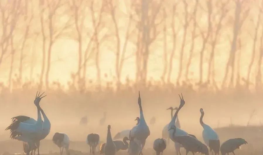 预定盐城酒店旅游的软件_盐城旅游酒店预定_预定盐城酒店旅游多少钱