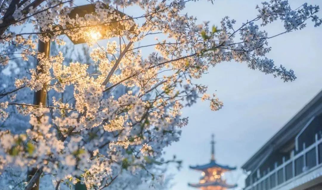 盐城旅游酒店预定_预定盐城酒店旅游的软件_预定盐城酒店旅游多少钱