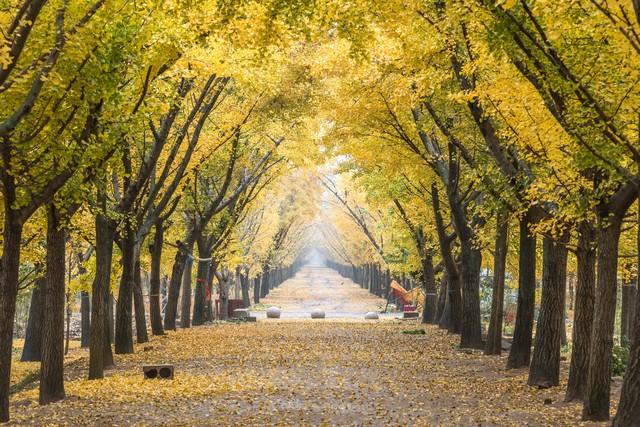 江苏五年制专转本到底难不难，有多难？