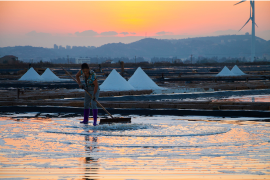 盐城滨海旅游_盐城旅游滨海县旅游_盐城滨海旅游