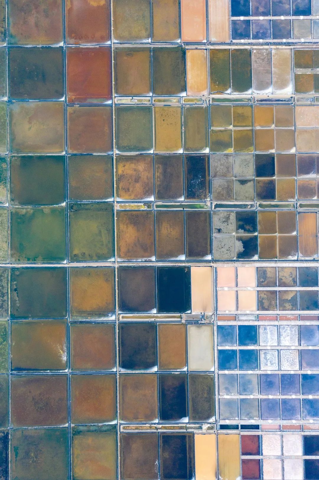 盐城旅游滨海县旅游_盐城滨海旅游_盐城滨海旅游