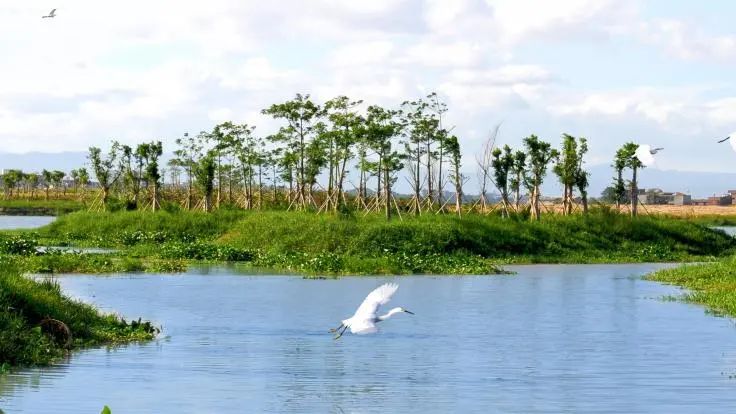 盐城滨海旅游_盐城滨海旅游_盐城旅游滨海县旅游