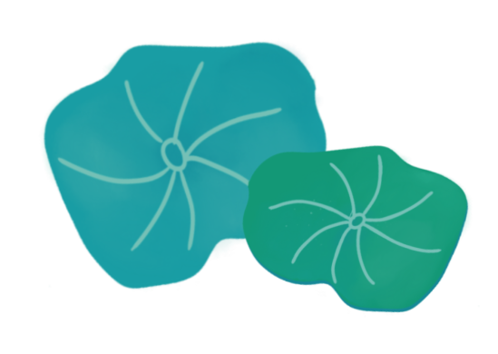 盐城湿地_盐城湿地旅游_盐城湿地公园有什么好玩的