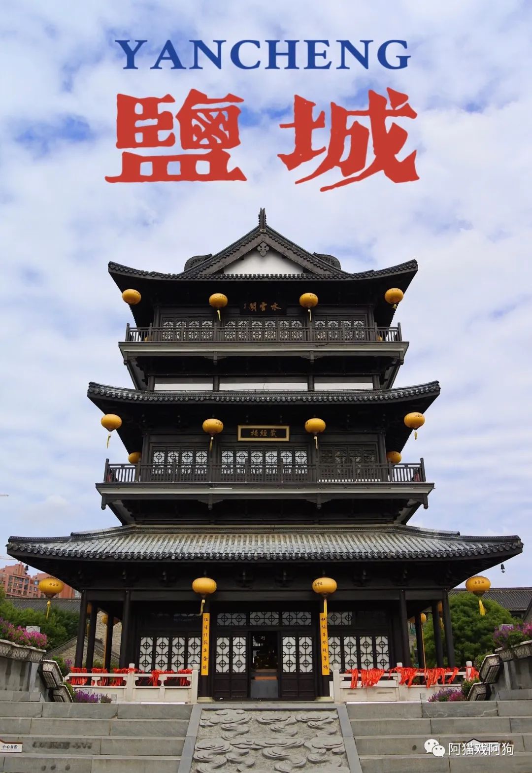 城市旅游打卡攻略系列第十一站（盐城）开更啦！