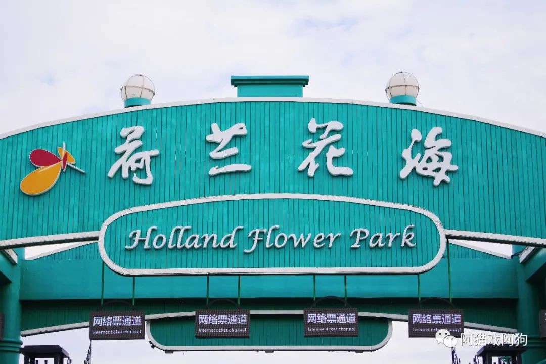 盐城旅游美食_盐城美食攻略_盐城打卡美食