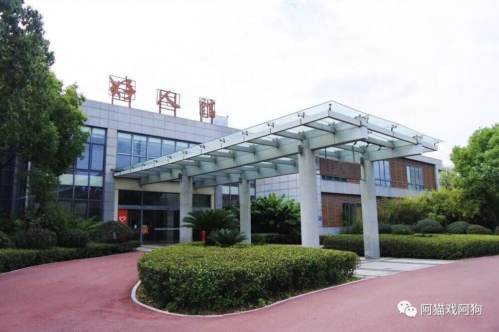 盐城美食攻略_盐城旅游美食_盐城打卡美食