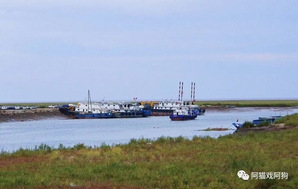 盐城旅游美食_盐城美食攻略_盐城打卡美食