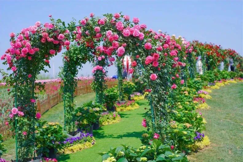 盐城美食打卡_盐城美食团购_盐城美食优惠公众号