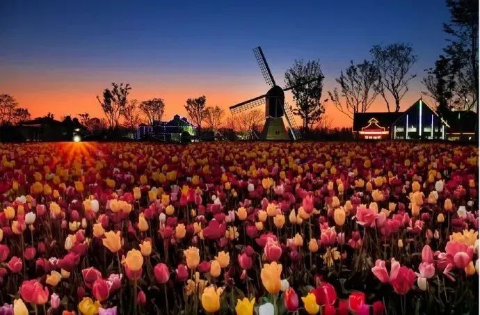 盐城美食优惠公众号_盐城美食团购_盐城美食打卡