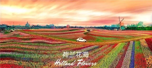 美丽盐城鱼米之乡徒步休闲之旅纯玩二日游