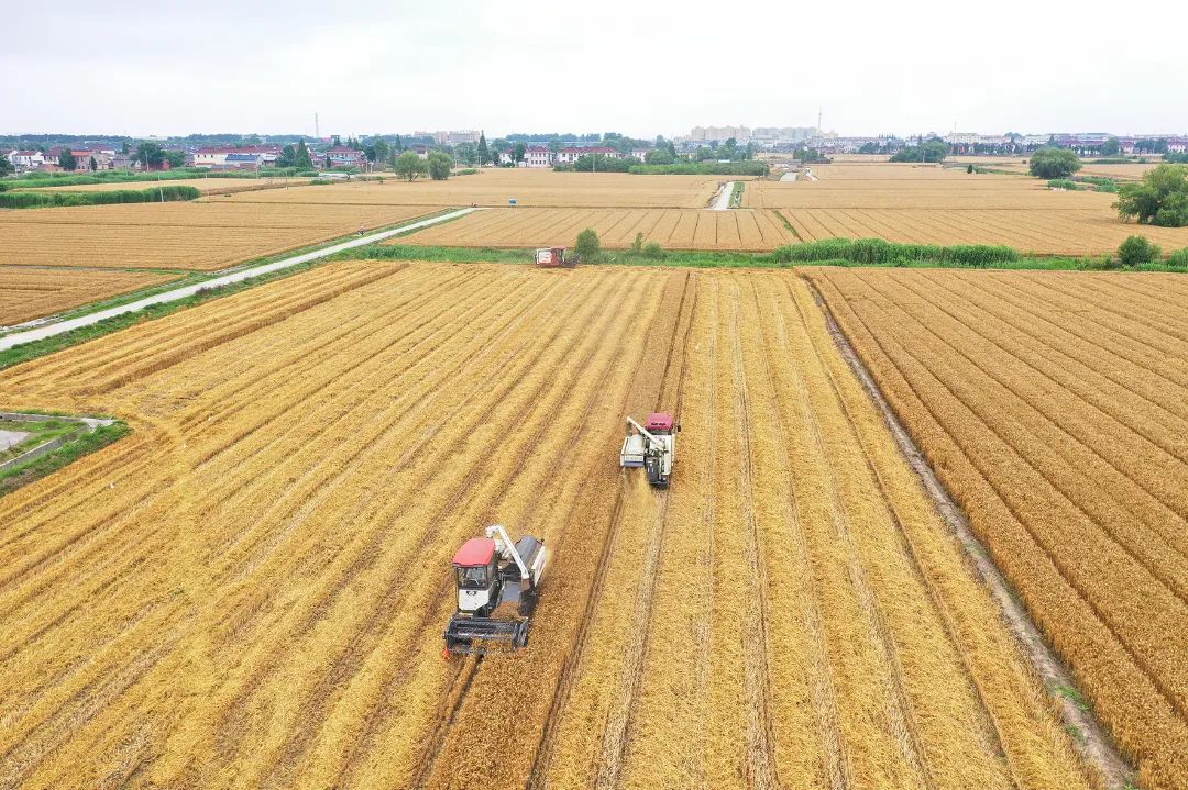 盐城全域旅游_盐城旅游总体规划_盐城市旅游公路规划