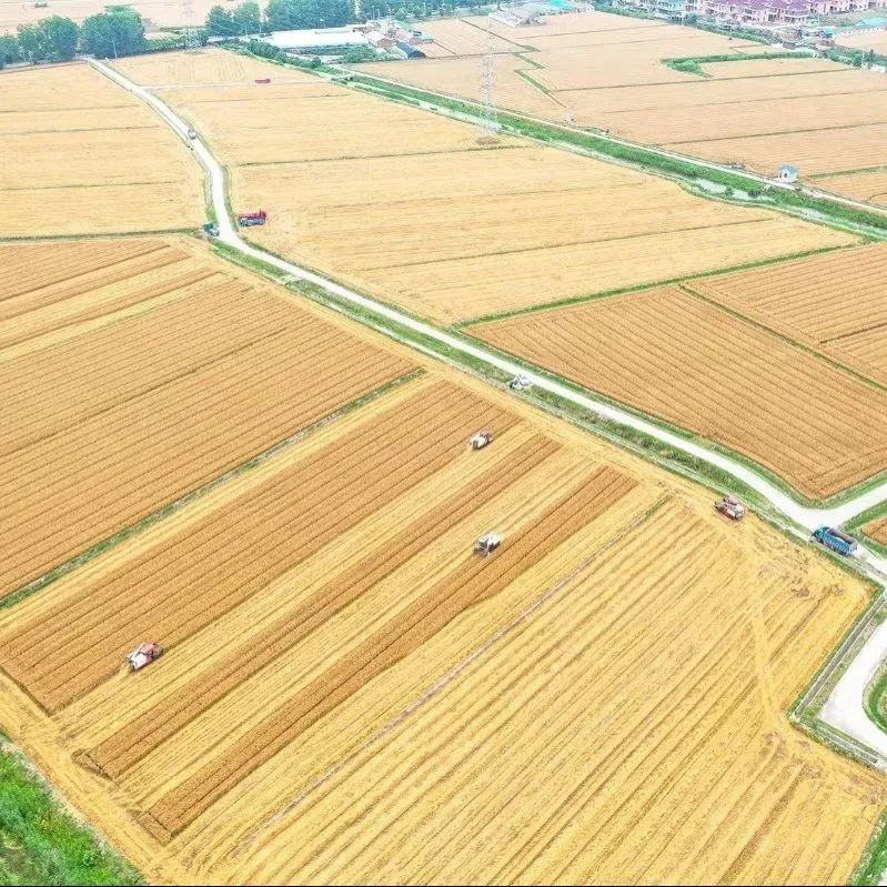 盐城旅游总体规划_盐城全域旅游_盐城市旅游公路规划